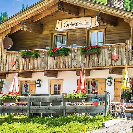 Chalet Gerlos-steinalm 木屋 *